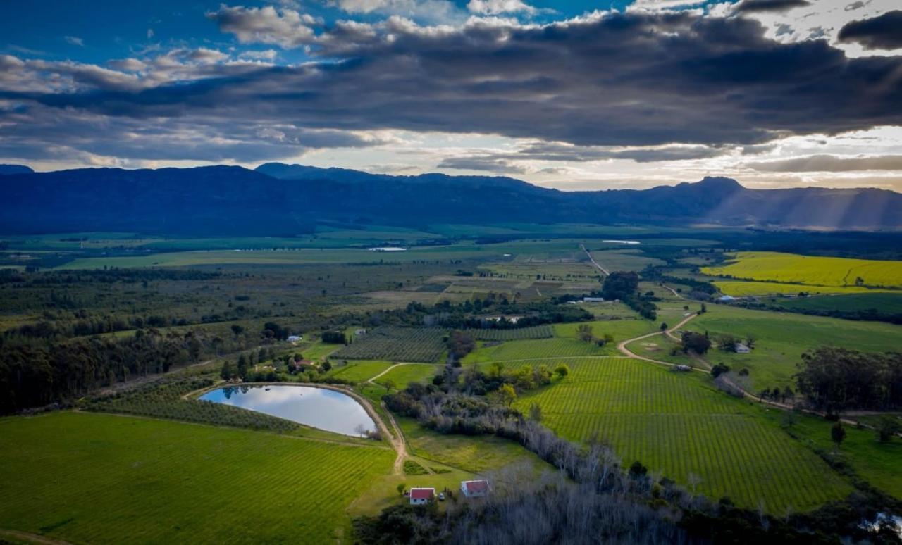 Fraaigelegen Farm - Home Of Adhara Evoo Тульбах Экстерьер фото